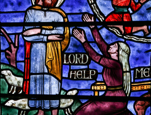 Summer Reset 2020 Part IV—Hope for the Future