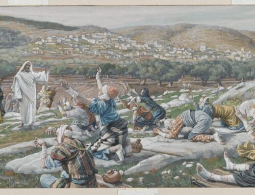 Summer Reset 2020  Part II—Things We Still Have and Are Grateful For