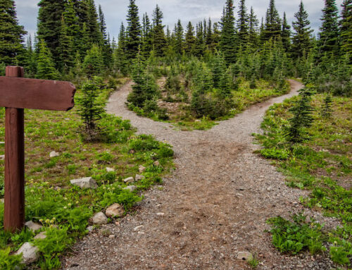 Is It God’s Plan, or My Plan?