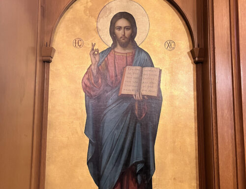 Don’t Give Up, Even If Life is Tough