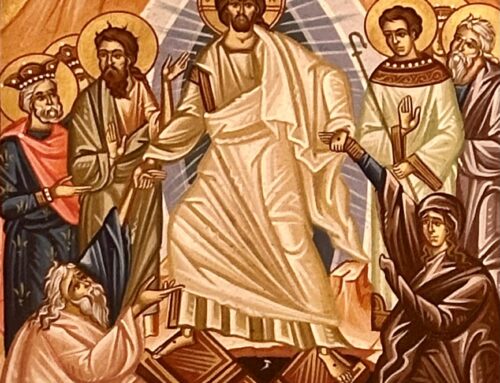 Eleventh Eothinon Gospel—Part Two | Don’t Worry About the Other Guy—YOU Follow