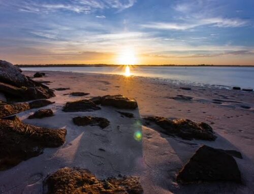 Painless, Blameless, Peaceful | Postscript