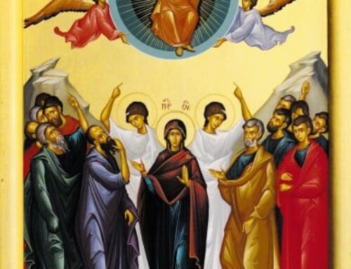 Choosing to Thrive in My Circumstances | Choose Truth over Feelings