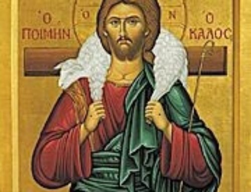 Update and a Big Thank You After Hurricane Milton