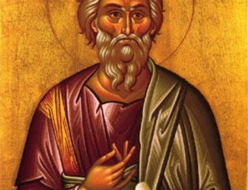 The Life of an Apostle