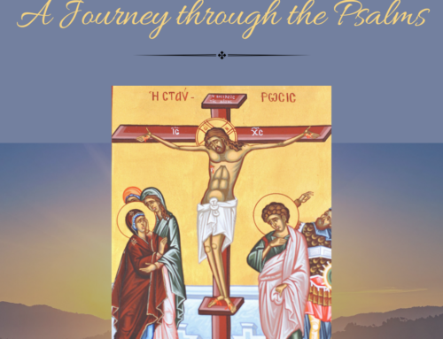 Come and See:  A Christian is Supposed to Spread the Faith